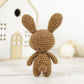 Crochet Pattern - Little Bunny Family