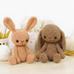 Crochet Pattern - Tilda and Daisy the Small Bunnies
