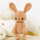 Crochet Pattern - Tilda and Daisy the Small Bunnies