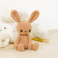 Crochet Pattern - Tilda and Daisy the Small Bunnies