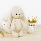Crochet Pattern - Tilda and Daisy the Small Bunnies